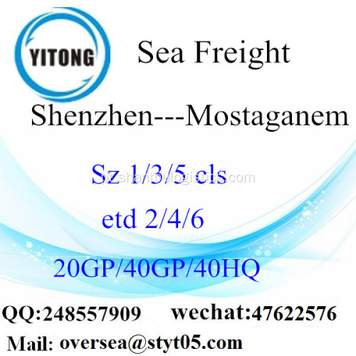 Mar de Porto de Shenzhen transporte de mercadorias para Mostaganem